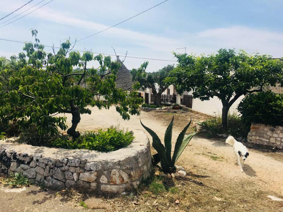 Trullo House *